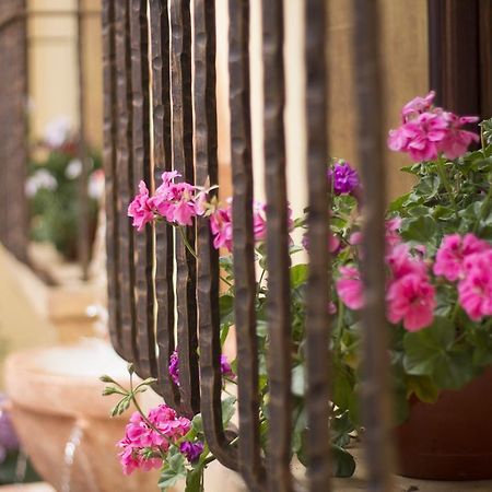 Hotel Casa Buena Vista Antigua Exteriér fotografie